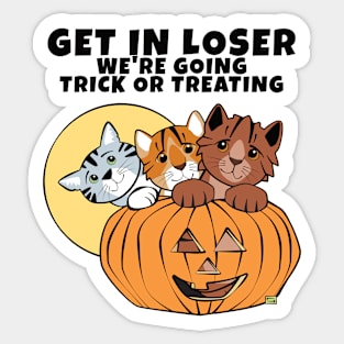 Get in Loser Cats in Halloween Pumpkin Sticker